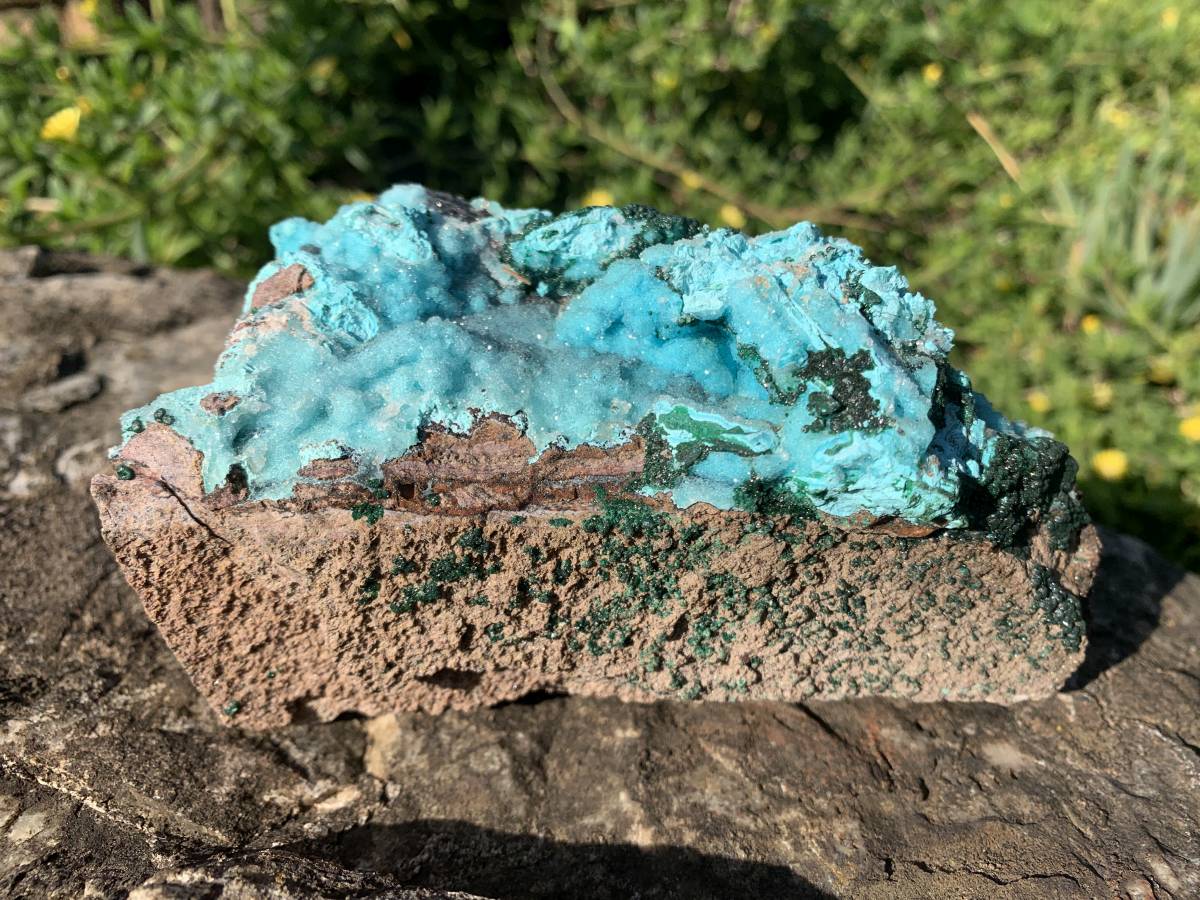 Natural Drusy Crystalline Coated Chrysocolla with Crystalline Malachite On Dolomite x 1 From Lupoto Mine, Congo