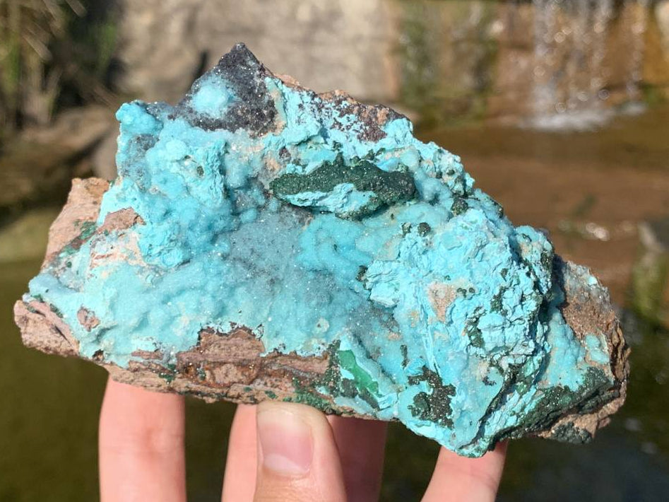 Natural Drusy Crystalline Coated Chrysocolla with Crystalline Malachite On Dolomite x 1 From Lupoto Mine, Congo