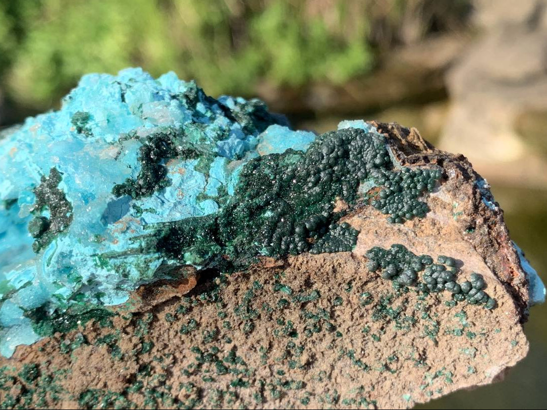Natural Drusy Crystalline Coated Chrysocolla with Crystalline Malachite On Dolomite x 1 From Lupoto Mine, Congo