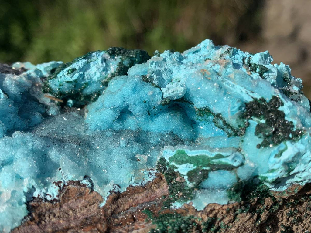 Natural Drusy Crystalline Coated Chrysocolla with Crystalline Malachite On Dolomite x 1 From Lupoto Mine, Congo
