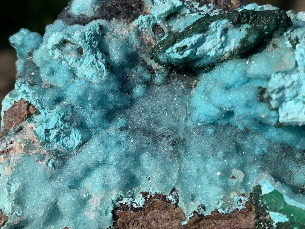 Natural Drusy Crystalline Coated Chrysocolla with Crystalline Malachite On Dolomite x 1 From Lupoto Mine, Congo