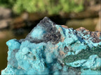 Natural Drusy Crystalline Coated Chrysocolla with Crystalline Malachite On Dolomite x 1 From Lupoto Mine, Congo