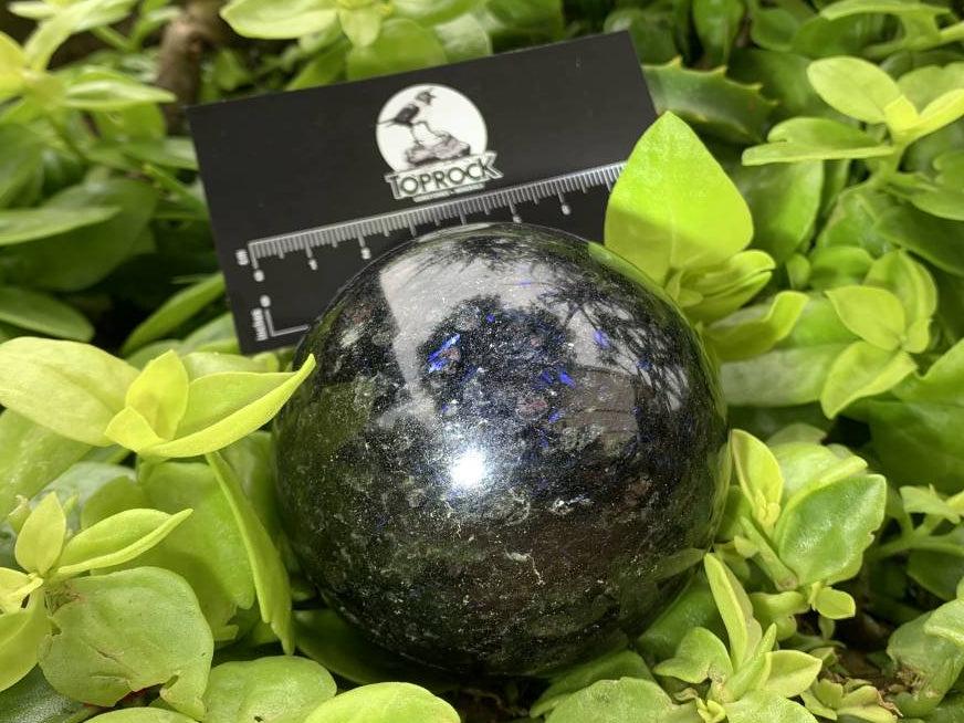 Polished Blue Spark Iolite Water Sapphire Sphere x 1 From Madagascar