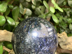 Polished Blue Spark Iolite Water Sapphire Sphere x 1 From Madagascar