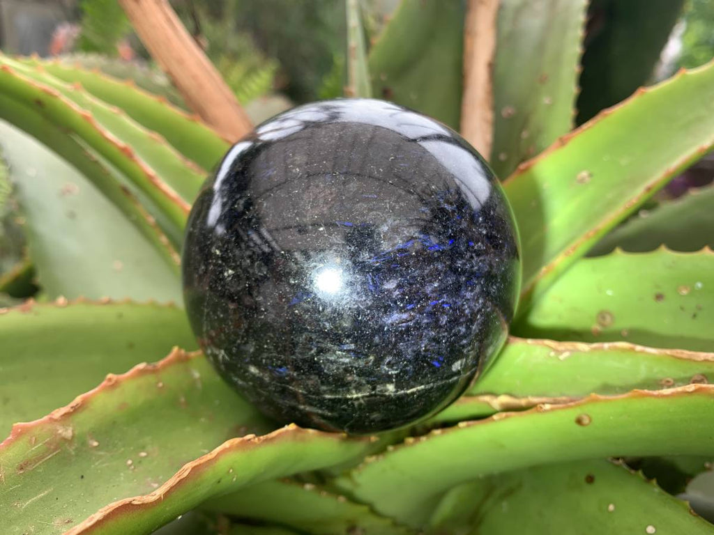 Polished Blue Spark Iolite Water Sapphire Sphere x 1 From Madagascar