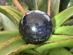 Polished Blue Spark Iolite Water Sapphire Sphere x 1 From Madagascar