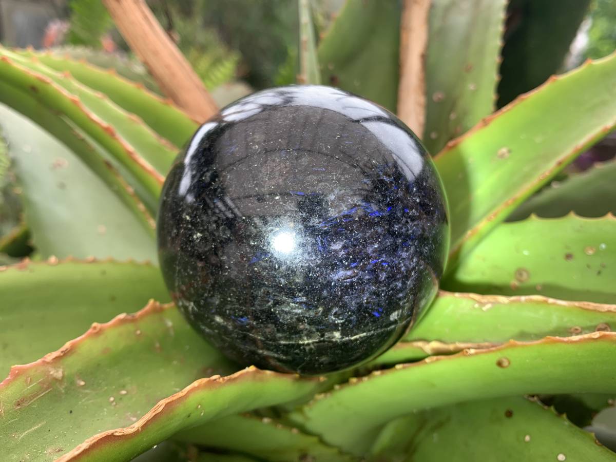 Polished Blue Spark Iolite Water Sapphire Sphere x 1 From Madagascar