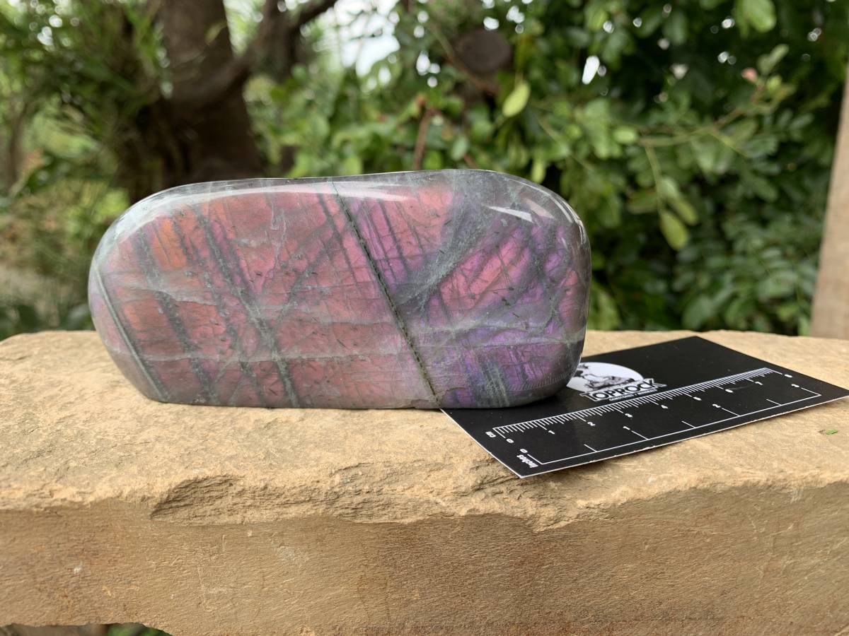 Polished Rare Purple Sunset Flash Labradorite Standing Free Form x 1 From Tulear, Madagascar