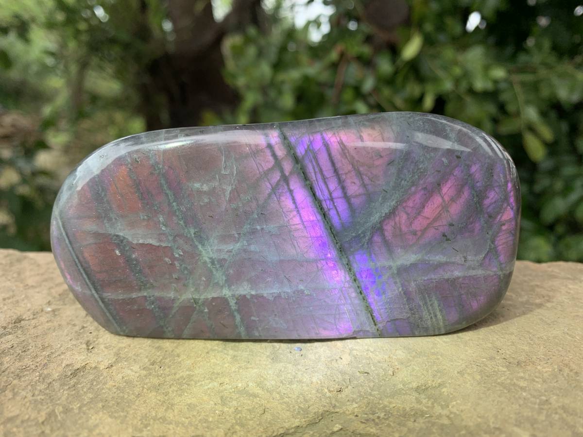 Polished Rare Purple Sunset Flash Labradorite Standing Free Form x 1 From Tulear, Madagascar