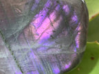 Polished Rare Purple Sunset Flash Labradorite Standing Free Form x 1 From Tulear, Madagascar