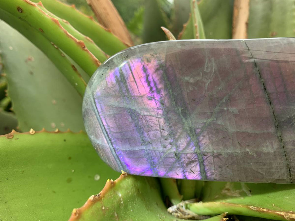 Polished Rare Purple Sunset Flash Labradorite Standing Free Form x 1 From Tulear, Madagascar