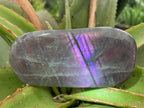 Polished Rare Purple Sunset Flash Labradorite Standing Free Form x 1 From Tulear, Madagascar
