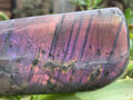 Polished Rare Purple Sunset Flash Labradorite Standing Free Form x 1 From Tulear, Madagascar