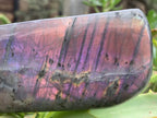 Polished Rare Purple Sunset Flash Labradorite Standing Free Form x 1 From Tulear, Madagascar