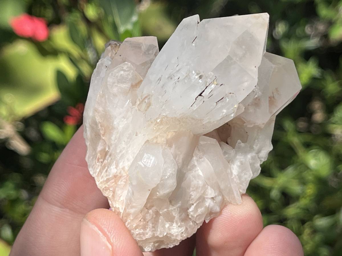 Natural Hollandite Star Cascading Quartz Cluster x 1 From Ambositra, Madagascar