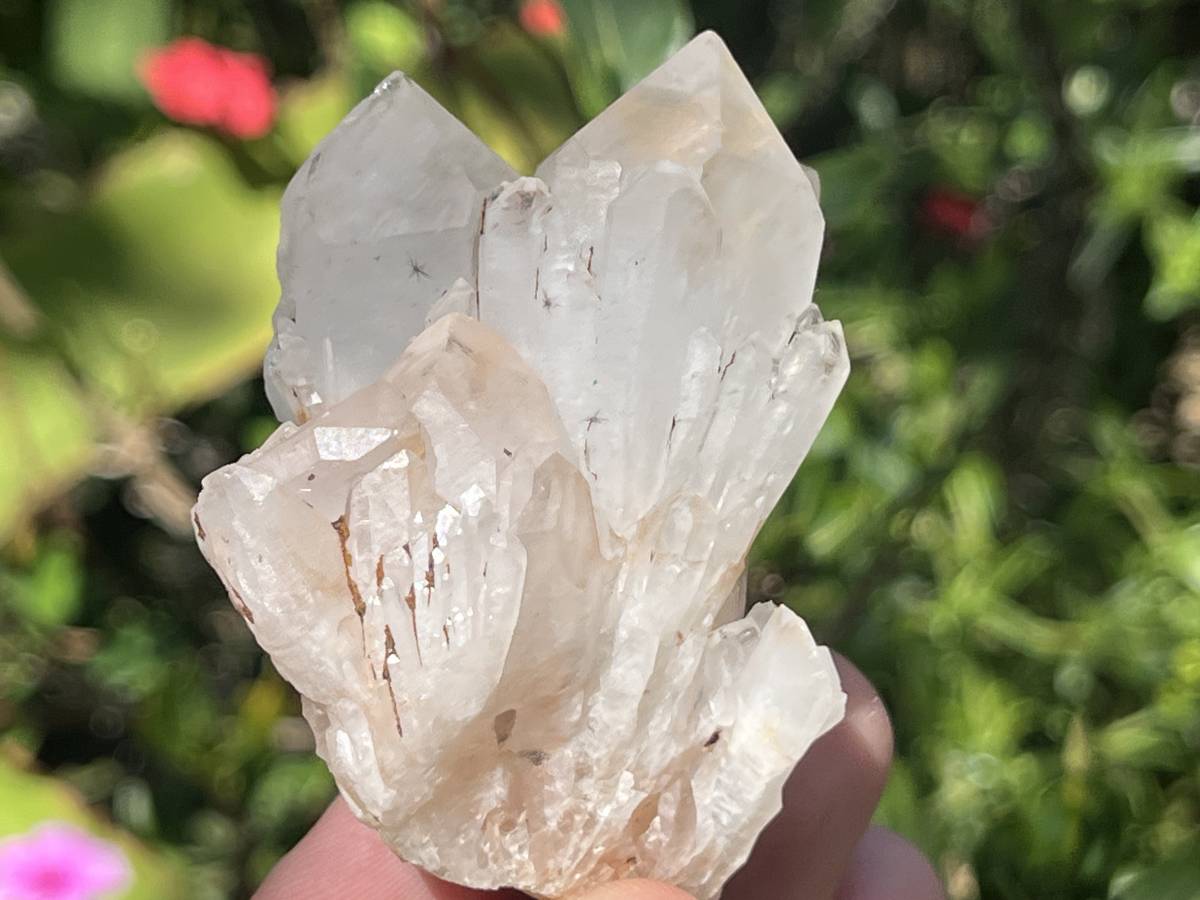 Natural Hollandite Star Cascading Quartz Cluster x 1 From Ambositra, Madagascar