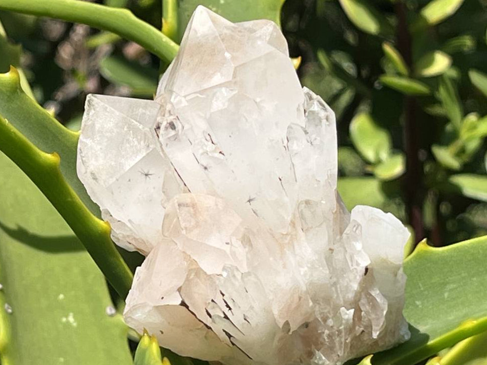 Natural Hollandite Star Cascading Quartz Cluster x 1 From Ambositra, Madagascar