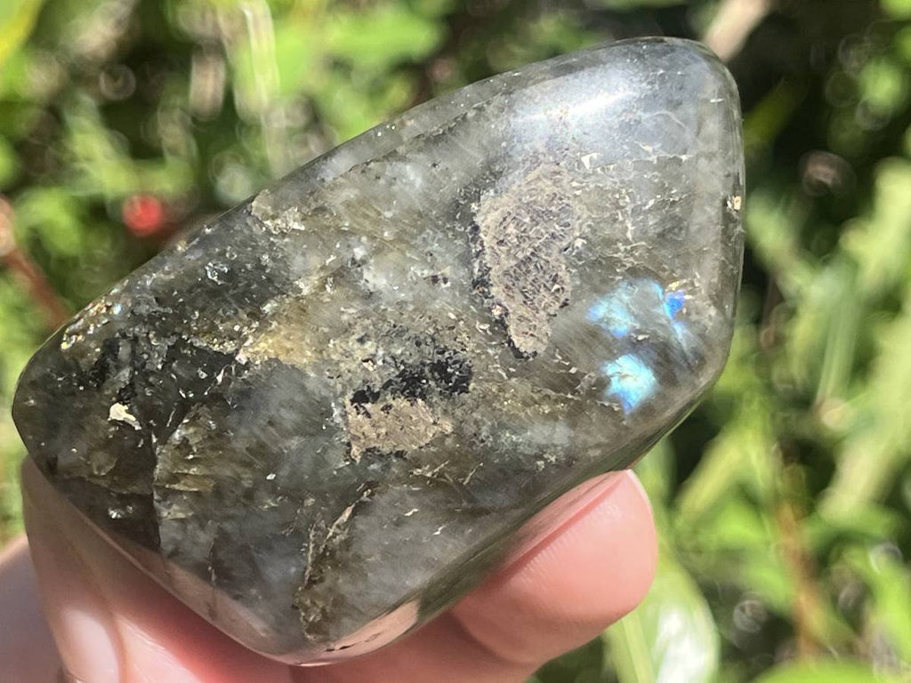 Polished Blue Flash Labradorite Standing Free Form x 1 From Tulear, Madagascar