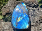 Polished Blue Flash Labradorite Standing Free Form x 1 From Tulear, Madagascar
