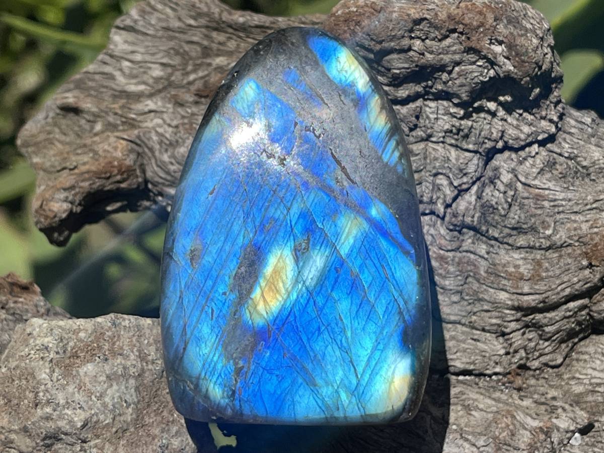Polished Blue Flash Labradorite Standing Free Form x 1 From Tulear, Madagascar