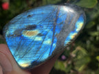 Polished Blue Flash Labradorite Standing Free Form x 1 From Tulear, Madagascar