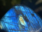 Polished Blue Flash Labradorite Standing Free Form x 1 From Tulear, Madagascar