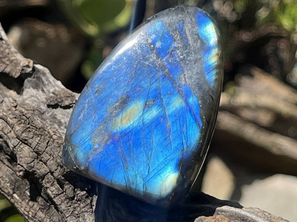 Polished Blue Flash Labradorite Standing Free Form x 1 From Tulear, Madagascar