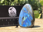 Polished Blue Flash Labradorite Standing Free Form x 1 From Tulear, Madagascar