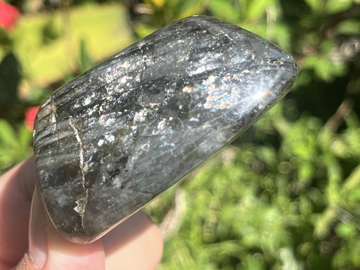 Polished Blue Flash Labradorite Standing Free Form x 1 From Tulear, Madagascar