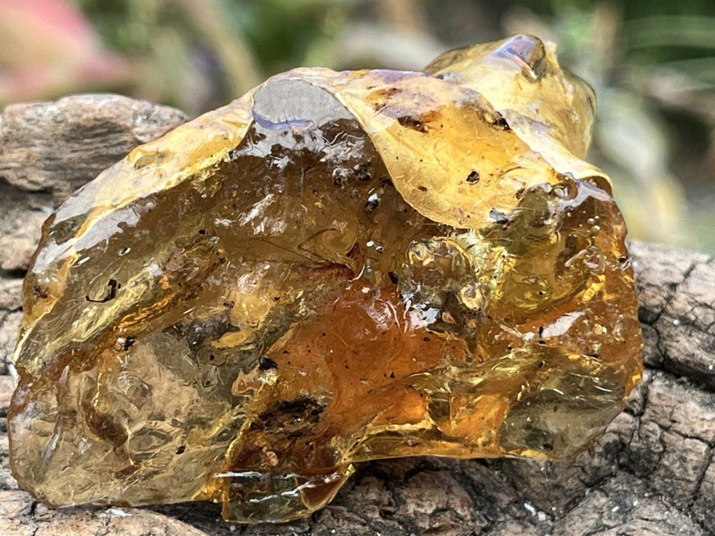 Natural Copal Amber "Frog" Specimen x 1 From Nosy Varika, Madagascar