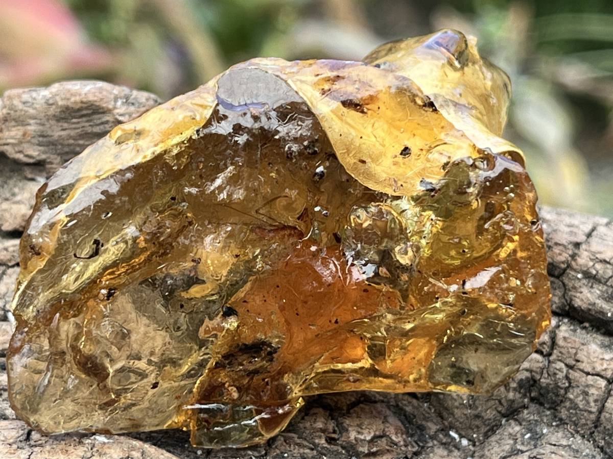 Natural Copal Amber "Frog" Specimen x 1 From Nosy Varika, Madagascar