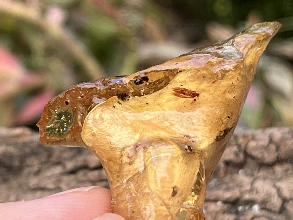 Natural Copal Amber "Frog" Specimen x 1 From Nosy Varika, Madagascar