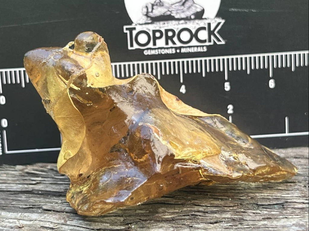Natural Copal Amber "Frog" Specimen x 1 From Nosy Varika, Madagascar