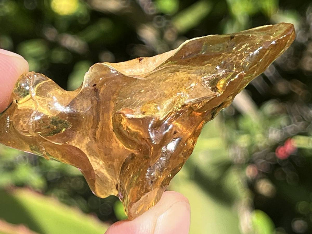 Natural Copal Amber "Frog" Specimen x 1 From Nosy Varika, Madagascar