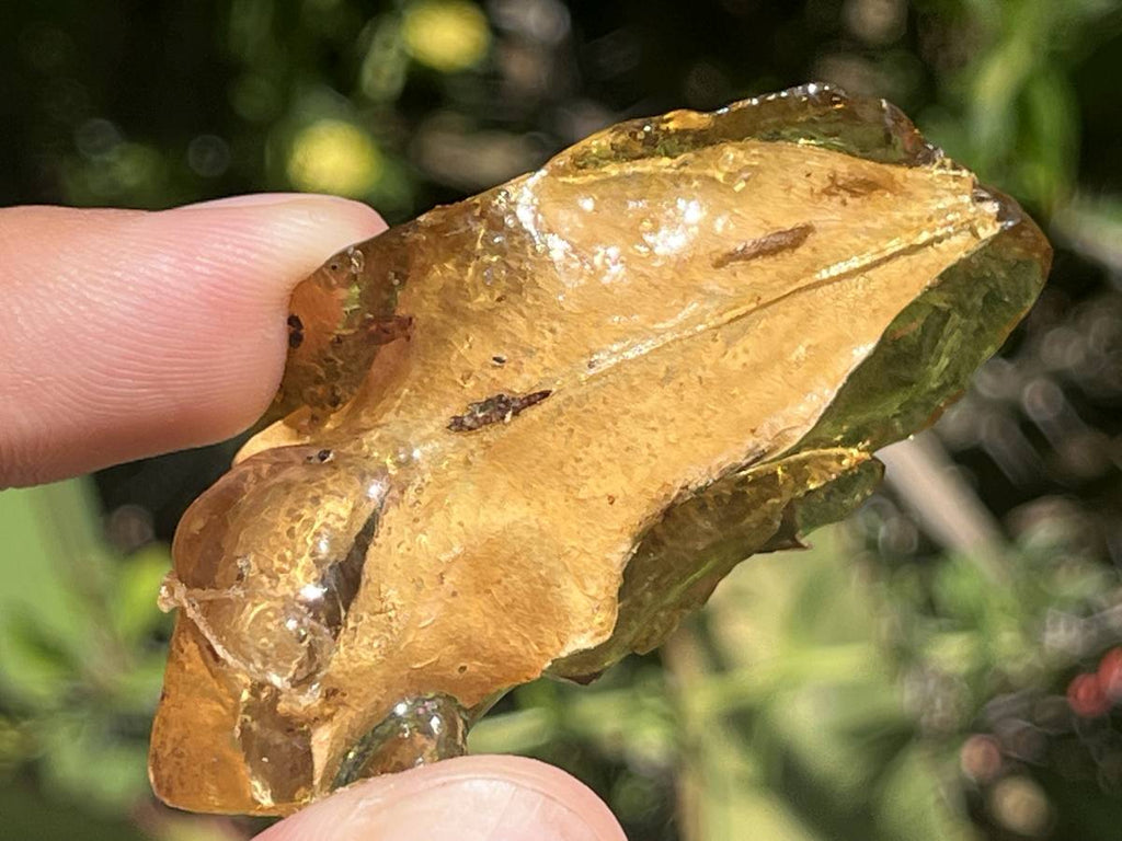 Natural Copal Amber "Frog" Specimen x 1 From Nosy Varika, Madagascar