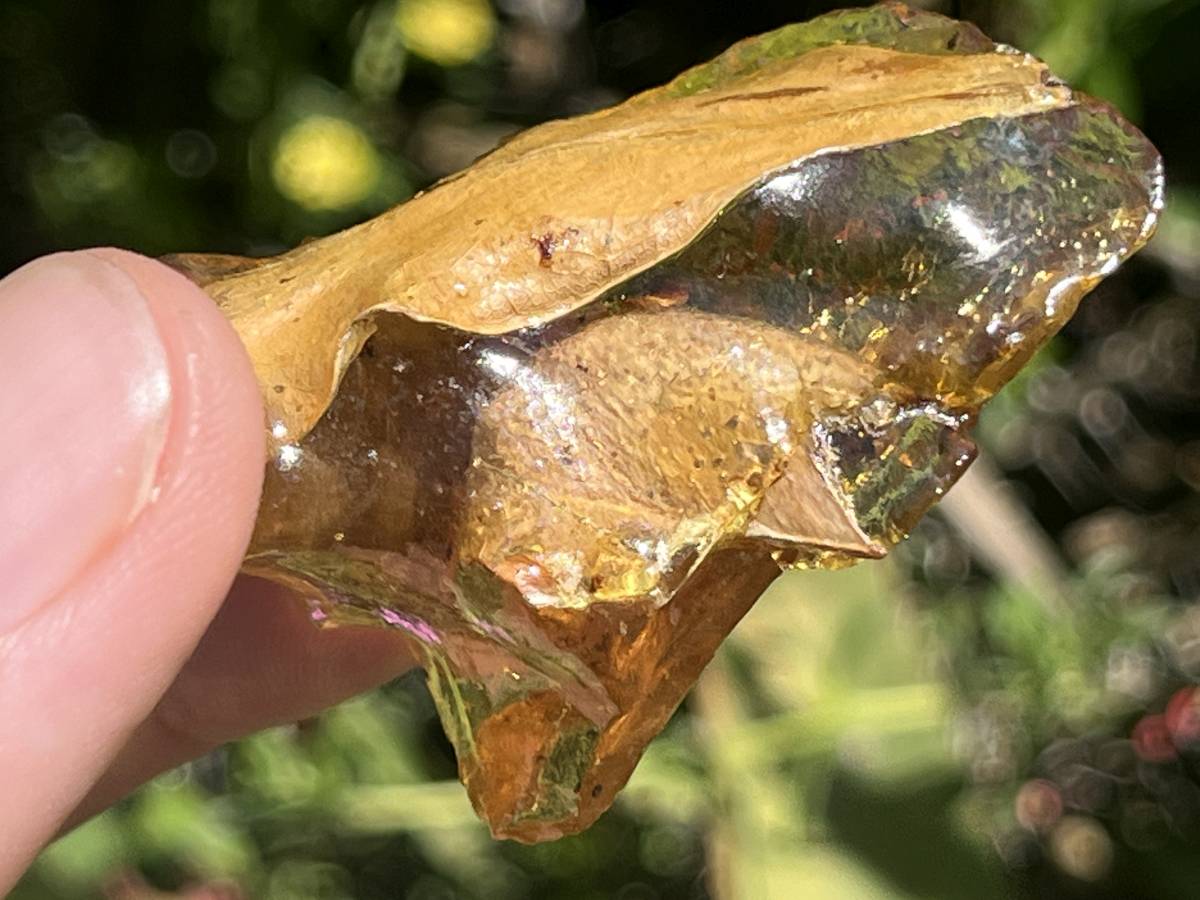 Natural Copal Amber "Frog" Specimen x 1 From Nosy Varika, Madagascar