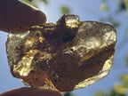 Natural Copal Amber "Frog" Specimen x 1 From Nosy Varika, Madagascar