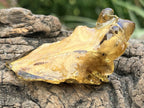 Natural Copal Amber "Frog" Specimen x 1 From Nosy Varika, Madagascar