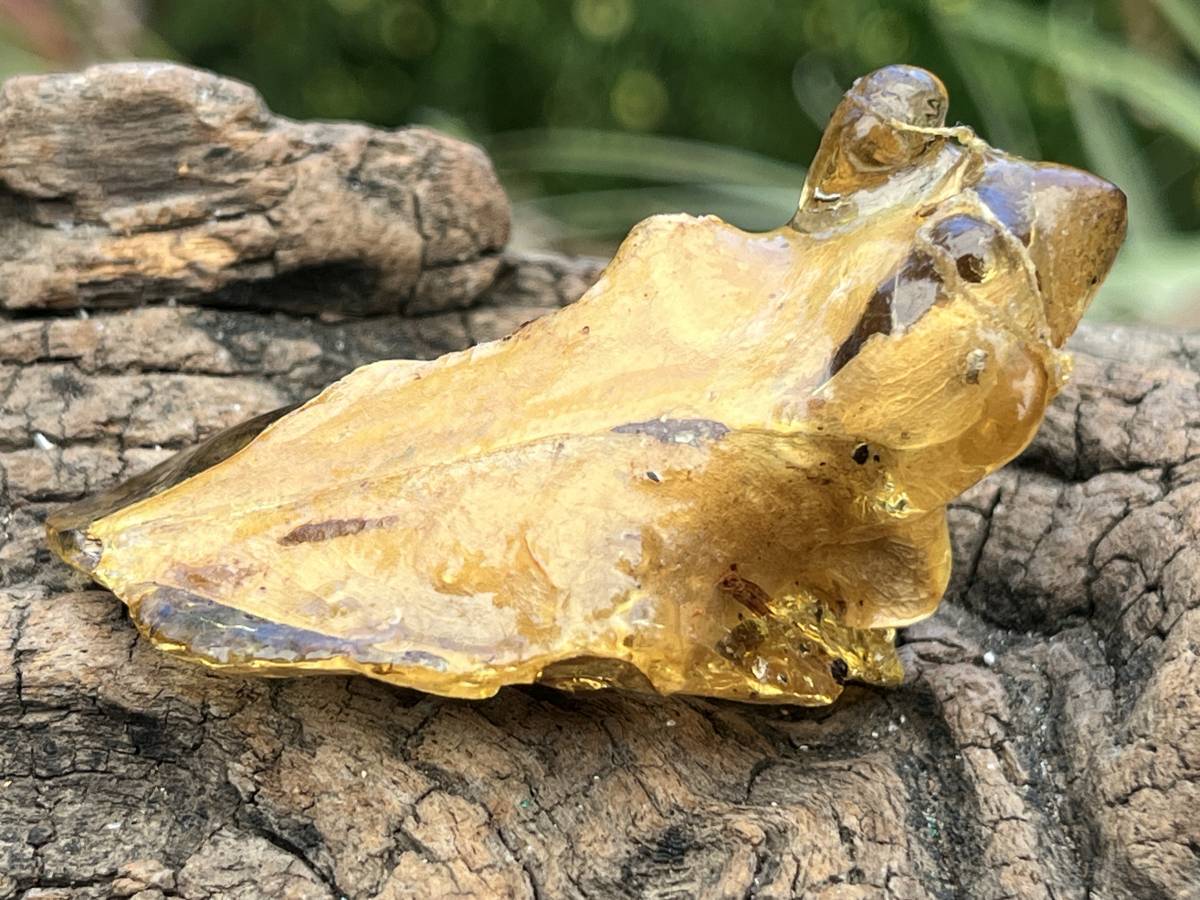 Natural Copal Amber "Frog" Specimen x 1 From Nosy Varika, Madagascar