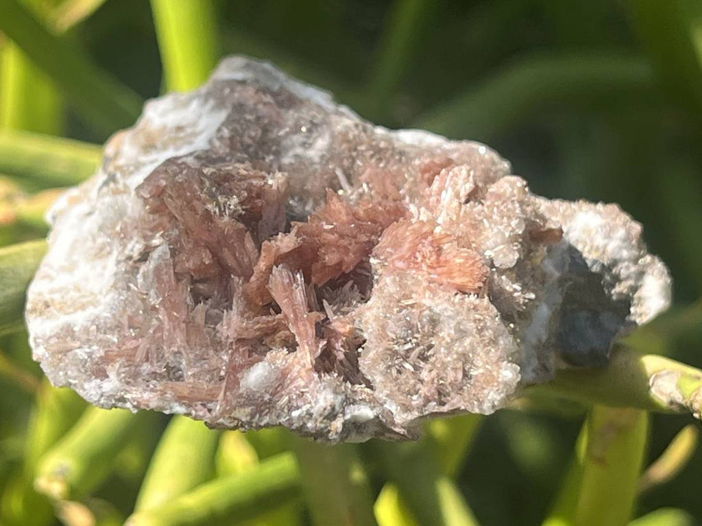 Natural Rare Orange Acicular Inesite Specimen x 1 From Wessels Mine, South Africa