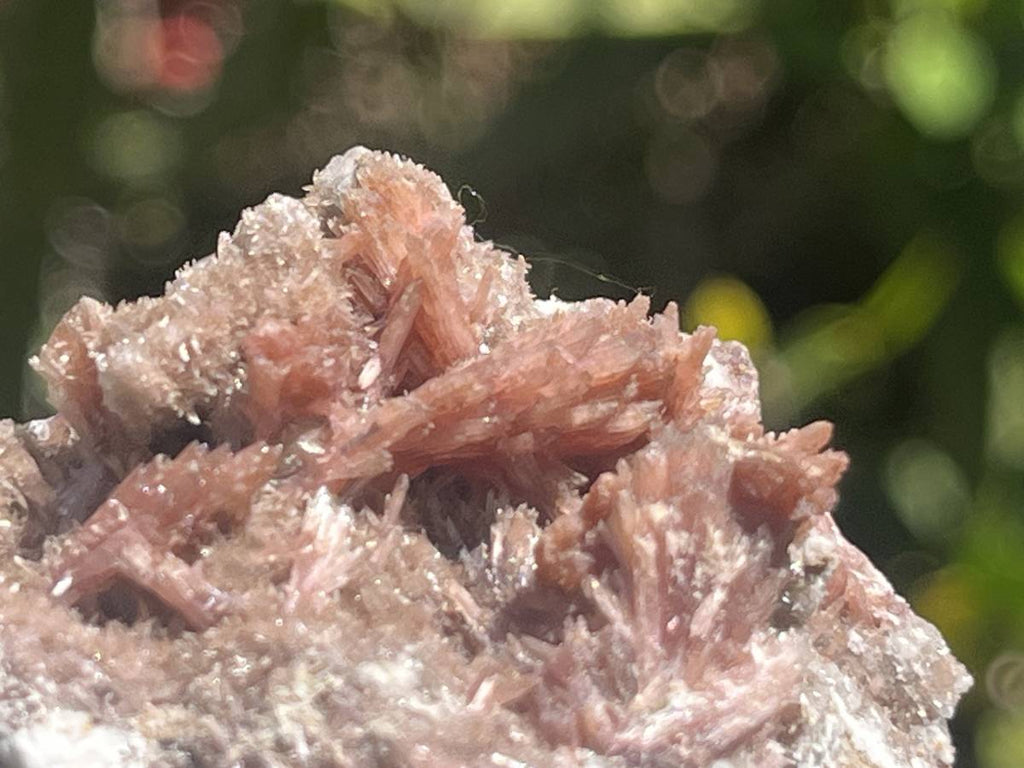 Natural Rare Orange Acicular Inesite Specimen x 1 From Wessels Mine, South Africa