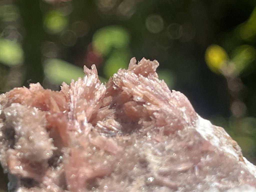 Natural Rare Orange Acicular Inesite Specimen x 1 From Wessels Mine, South Africa