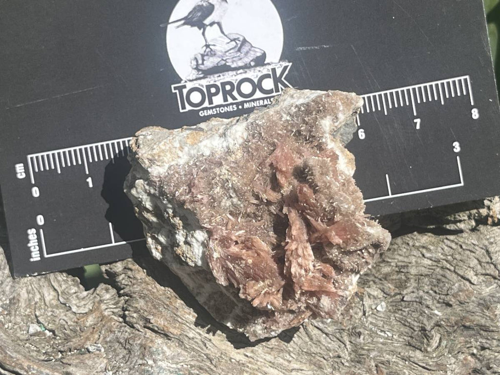 Natural Rare Orange Acicular Inesite Specimen x 1 From Wessels Mine, South Africa