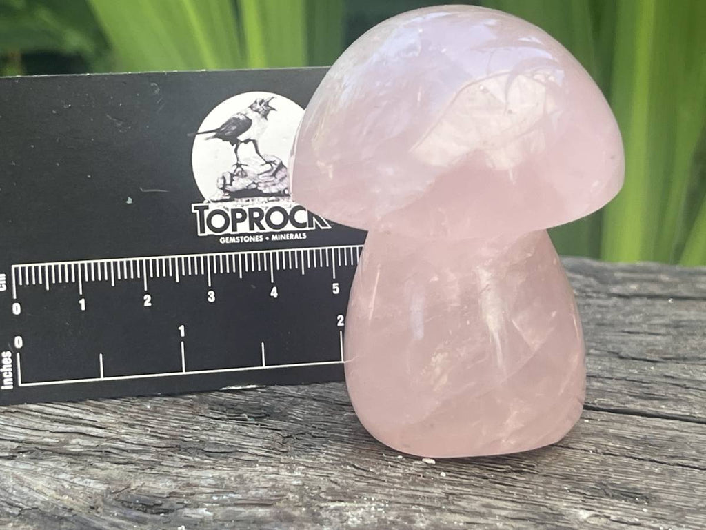 Polished Gemmy Star Rose Quartz Mushroom x 1 From Ambatondrazaka, Madagascar