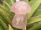 Polished Gemmy Star Rose Quartz Mushroom x 1 From Ambatondrazaka, Madagascar