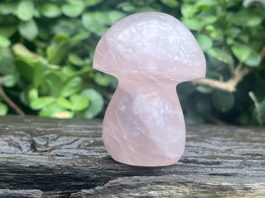 Polished Gemmy Star Rose Quartz Mushroom x 1 From Ambatondrazaka, Madagascar