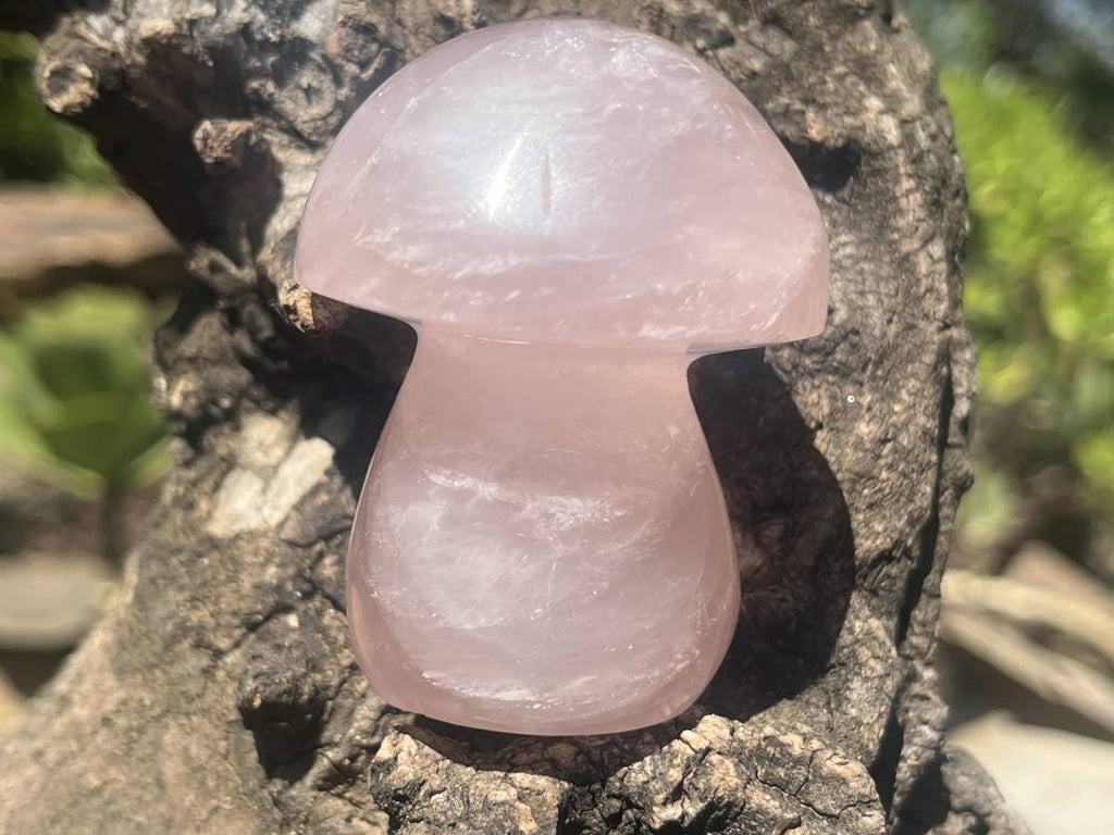 Polished Gemmy Star Rose Quartz Mushroom x 1 From Ambatondrazaka, Madagascar