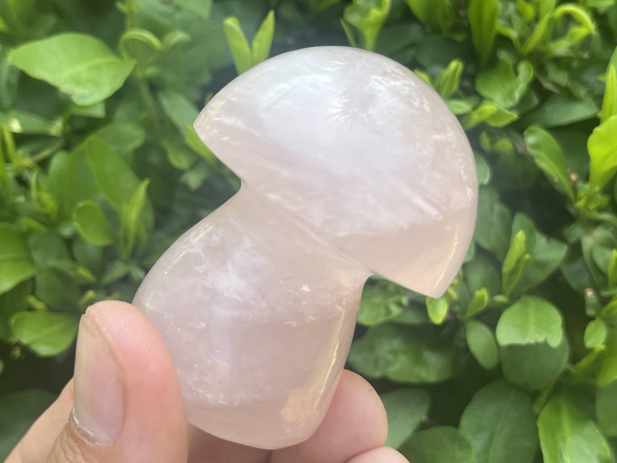 Polished Gemmy Star Rose Quartz Mushroom x 1 From Ambatondrazaka, Madagascar