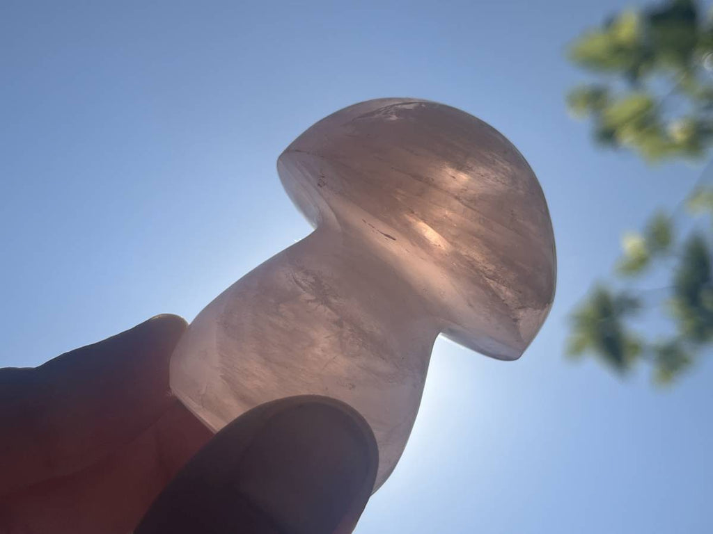 Polished Gemmy Star Rose Quartz Mushroom x 1 From Ambatondrazaka, Madagascar