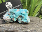Natural Rare Drusy Hemimorphite On Dolomite Specimen x 1 From Lupoto Mine, Congo